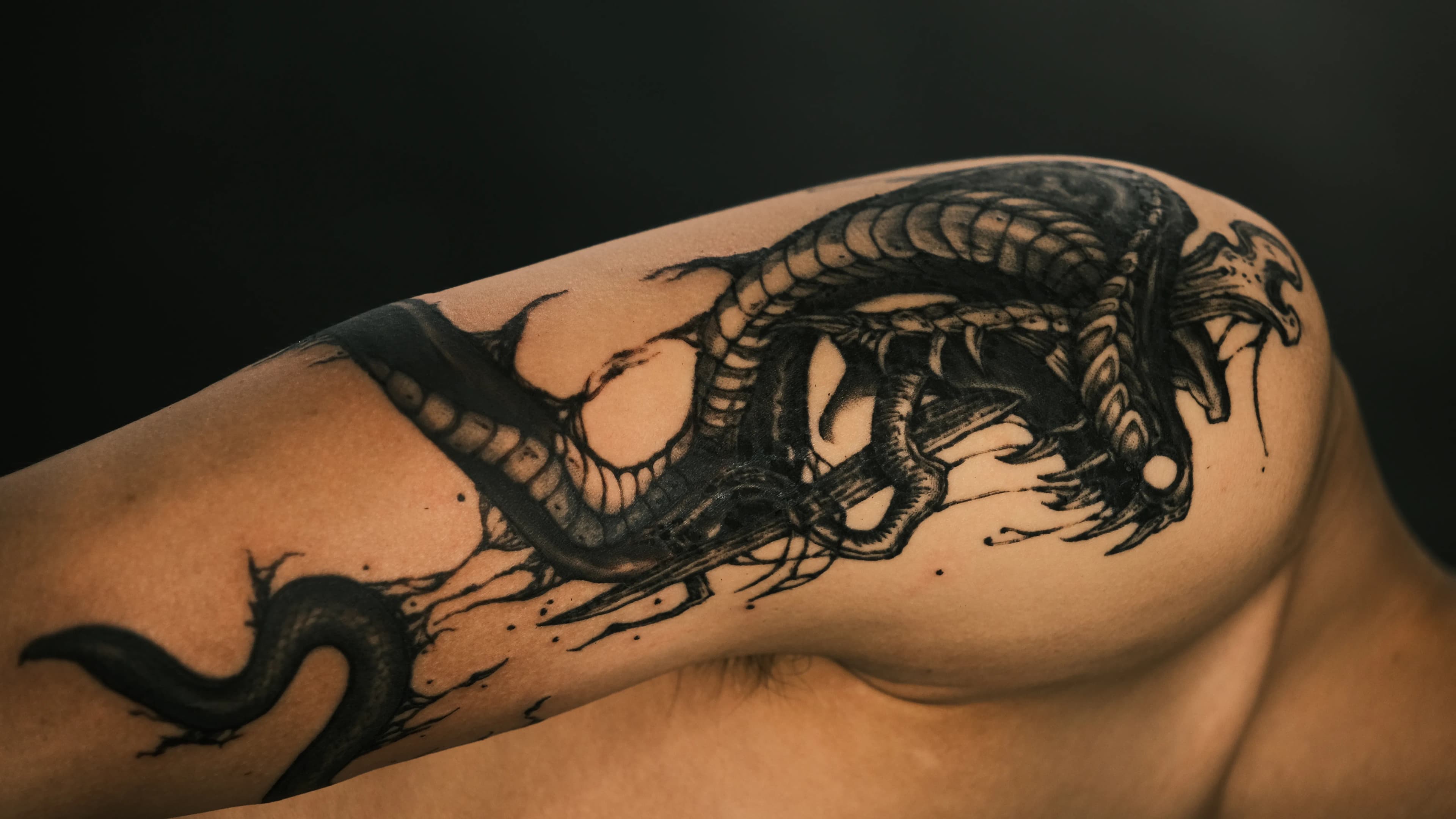/images/tattoos/DSCF4073.JPG.webp